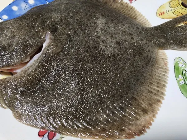 Steamed turbot South China-第2张